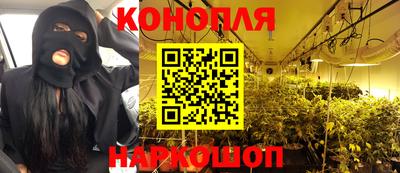 эйфоретик Аргун