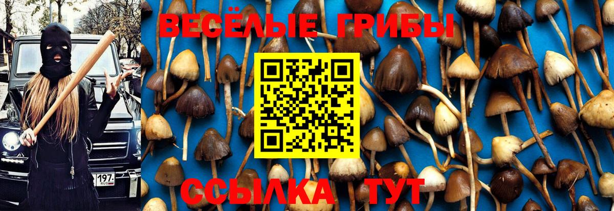 Псилоцибиновые грибы MAGIC MUSHROOMS Верхняя Салда