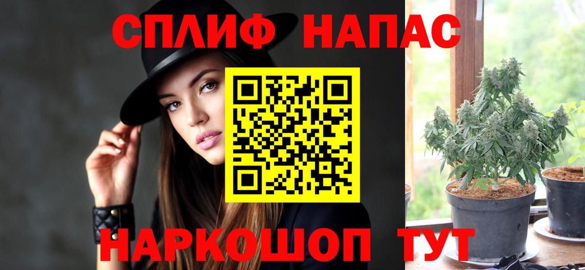 Бошки Шишки ГИДРОПОН Верхняя Салда